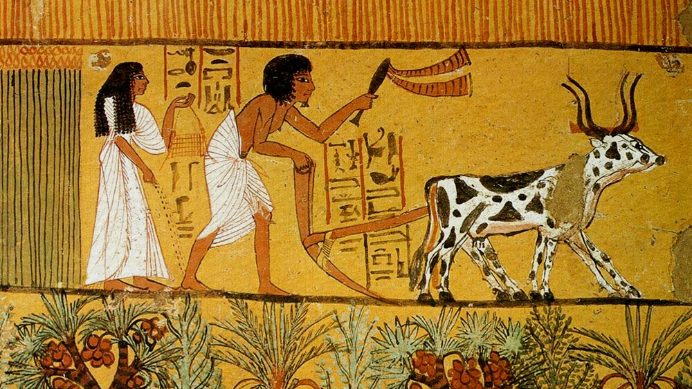 Sự phát triển sản xuất của Ai Cập thời Tân vương quốc