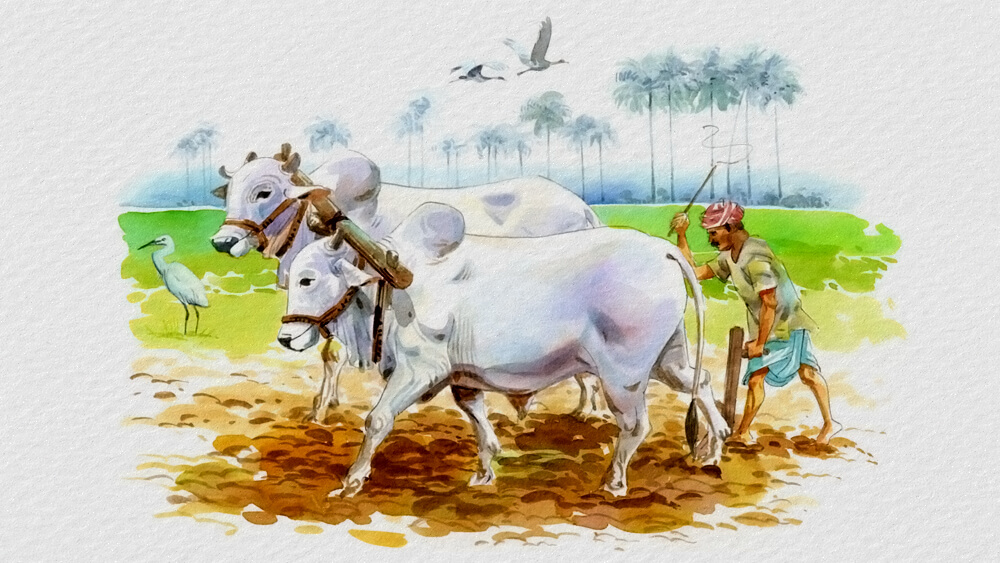 Chế độ công xã nông thôn trong lịch sử Ấn Độ cổ đại